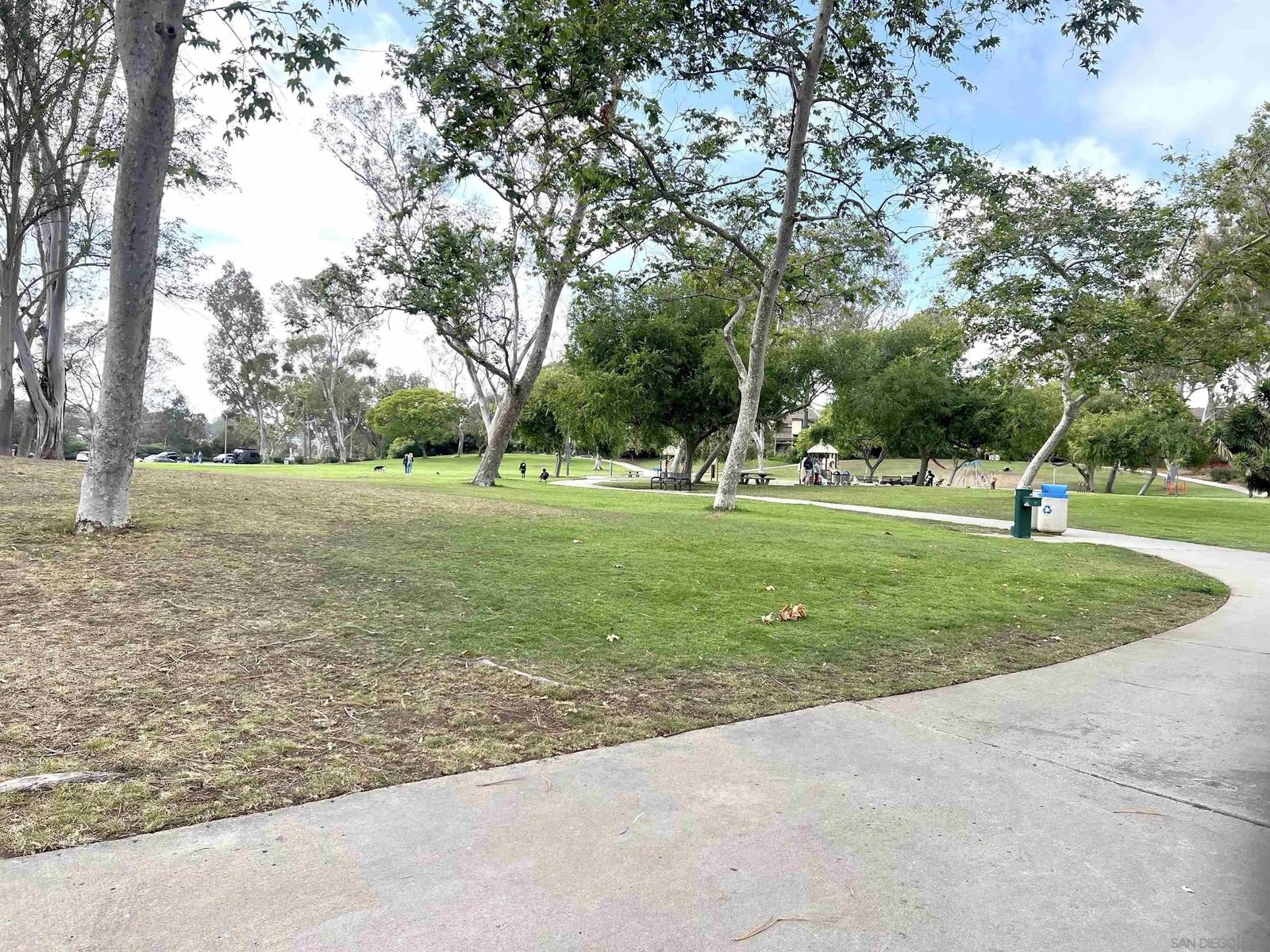 Photo 27